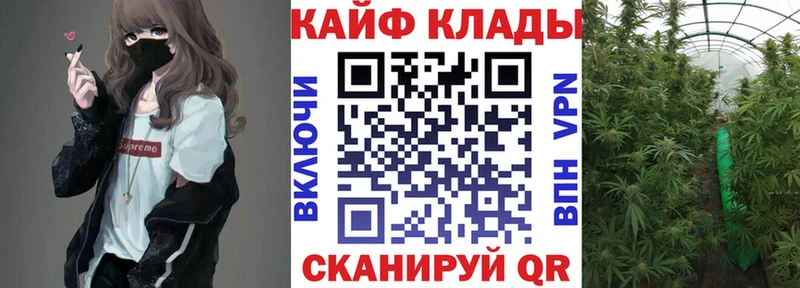 Как найти наркотики Шенкурск ГАШ  Канабис  Амфетамин  A-PVP  МЕТАМФЕТАМИН  Кокаин  Меф мяу мяу 