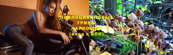 марихуана Белокуриха