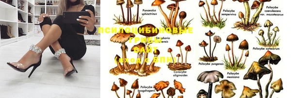 марихуана Белокуриха
