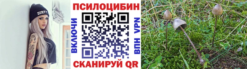 Галлюциногенные грибы прущие грибы  Шенкурск 